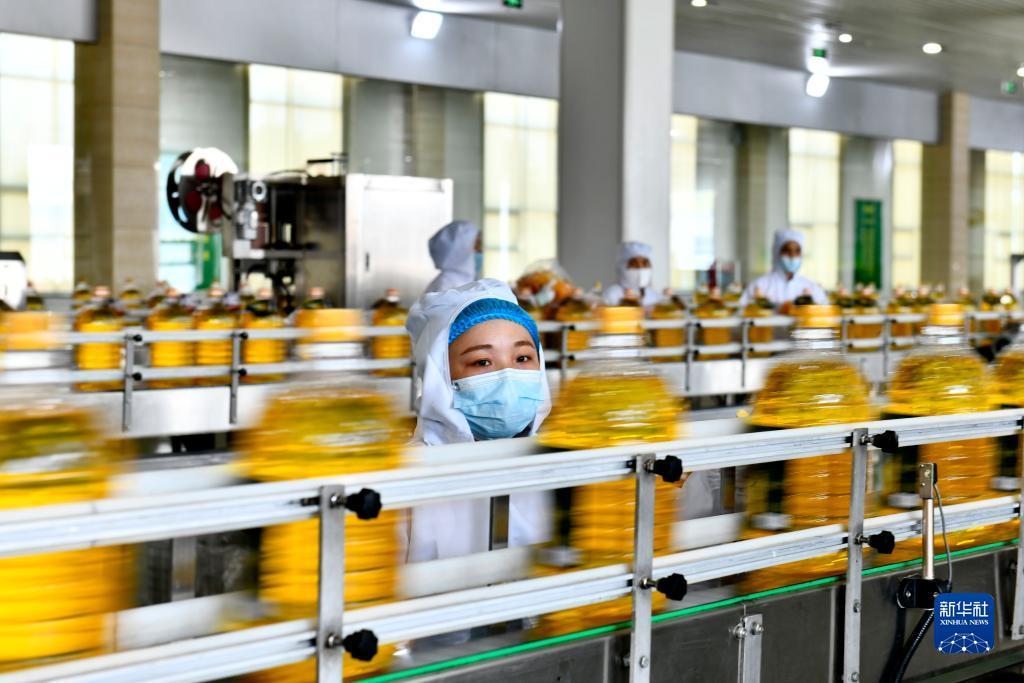 捕鱼游戏大厅手机版